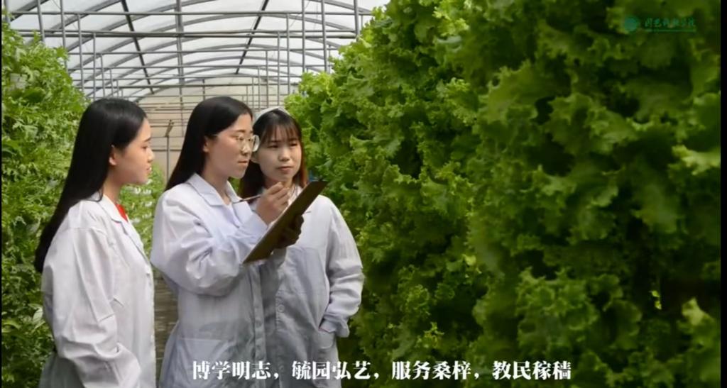 Bodogbodog集团官网招生宣传短片