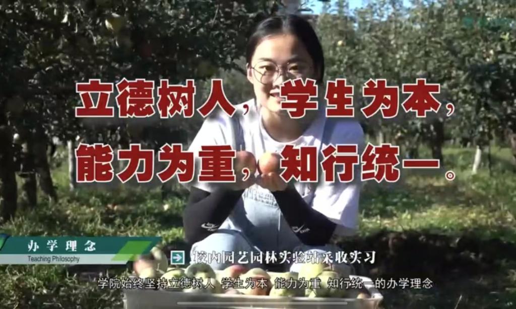 Bodogbodog集团官网宣传片